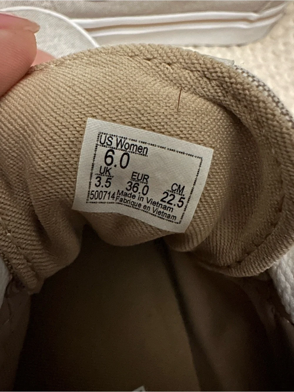 Vans Taupe Canvas Low-Top Sneakers with White Stripe